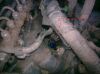 Filename : Fuel Line.JPG
Filesize : 119KB
Dimensions : 1280x959
Date added : Sep 17, 2008 Fuel Line.JPG