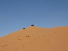 Morocco 2010 1232.JPG