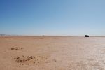 Filename : Morocco 511.JPG
Filesize : 295KB
Dimensions : 1504x1000
Date added : Jan 21, 2015 Morocco 511.JPG