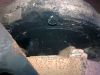 Filename : Soot Deposits.jpg
Filesize : 197KB
Dimensions : 1280x960
Date added : Aug 14, 2008 Soot Deposits.jpg