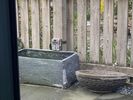 Filename : 0B7A428C-EEBA-486D-8B8C-7580F4F0D27B.jpeg
Filesize : 585KB
Dimensions : 1750x1313
Date added : May 07, 2021 0B7A428C-EEBA-486D-8B8C-7580F4F0D27B.jpeg