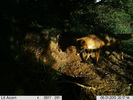 Filename : trail camara 278.jpg
Filesize : 357KB
Dimensions : 1750x1313
Date added : Nov 14, 2019 trail camara 278.jpg