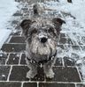 Filename : p3oa96.jpg
Filesize : 843KB
Dimensions : 1750x1808
Date added : Jan 25, 2021 p3oa96.jpg