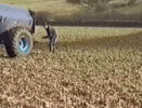 Filename : shit-spreader.gif
Filesize : 798KB
Dimensions : 200x152
Date added : Mar 29, 2021 shit-spreader.gif