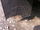 Filename : mud1.jpg
Filesize : 723KB
Dimensions : 1296x968
Date added : Jun 26, 2013 mud1.jpg