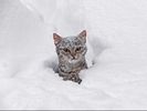 Filename : 3F5875C5-A624-4790-9CE6-A6CCFE564F44.jpeg
Filesize : 18KB
Dimensions : 480x360
Date added : Feb 12, 2021 3F5875C5-A624-4790-9CE6-A6CCFE564F44.jpeg