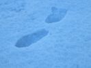 Filename : IMG_4162.JPG
Filesize : 298KB
Dimensions : 1750x1312
Date added : Nov 24, 2016 IMG_4162.JPG