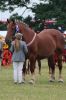 Filename : IMG_2508a.jpg
Filesize : 107KB
Dimensions : 480x720
Date added : Jun 20, 2016 IMG_2508a.jpg