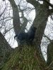 Filename : P1050541a.jpg
Filesize : 173KB
Dimensions : 480x640
Date added : Nov 29, 2015 P1050541a.jpg