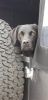 Filename : 20180730_115301 (Small).jpg
Filesize : 58KB
Dimensions : 415x854
Date added : Aug 13, 2018 20180730_115301 (Small).jpg