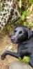 Filename : 20180811_155451 (Small).jpg
Filesize : 99KB
Dimensions : 415x854
Date added : Aug 13, 2018 20180811_155451 (Small).jpg