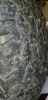 Filename : 20181101_103850.jpg
Filesize : 2543KB
Dimensions : 1750x3600
Date added : Nov 02, 2018 20181101_103850.jpg