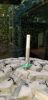 Filename : 20181101_103942.jpg
Filesize : 1762KB
Dimensions : 1750x3600
Date added : Nov 02, 2018 20181101_103942.jpg