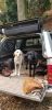 Filename : 20181114_154048.jpg
Filesize : 78KB
Dimensions : 415x854
Date added : Nov 15, 2018 20181114_154048.jpg