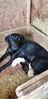 Filename : 20190417_133020.jpg
Filesize : 2648KB
Dimensions : 1750x3600
Date added : Apr 23, 2019 20190417_133020.jpg
