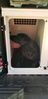 Filename : 20190627_182446.jpg
Filesize : 34KB
Dimensions : 415x854
Date added : Jun 29, 2019 20190627_182446.jpg
