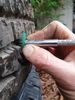 Filename : 20191021_091657.jpg
Filesize : 49KB
Dimensions : 480x640
Date added : Oct 21, 2019 20191021_091657.jpg