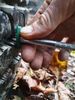 Filename : 20191021_091806.jpg
Filesize : 46KB
Dimensions : 480x640
Date added : Oct 21, 2019 20191021_091806.jpg