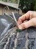 Filename : 20191021_091928.jpg
Filesize : 54KB
Dimensions : 480x640
Date added : Oct 21, 2019 20191021_091928.jpg