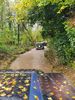 Filename : 20191102_103944.jpg
Filesize : 1976KB
Dimensions : 1750x2333
Date added : Nov 02, 2019 20191102_103944.jpg