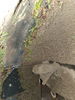 Filename : 20201227_154928.jpg
Filesize : 1884KB
Dimensions : 1750x2333
Date added : Dec 27, 2020 20201227_154928.jpg