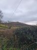 Filename : 20210113_161009.jpg
Filesize : 896KB
Dimensions : 1750x2333
Date added : Jan 13, 2021 20210113_161009.jpg