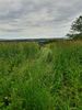 Filename : 20210617_132403+%28Small%29.jpg
Filesize : 60KB
Dimensions : 480x640
Date added : Jun 21, 2021 20210617_132403+%28Small%29.jpg