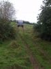 Filename : PA190125 (Small).JPG
Filesize : 41KB
Dimensions : 360x480
Date added : Oct 19, 2013 PA190125 (Small).JPG