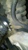 Filename : WP_20160214_007.jpg
Filesize : 212KB
Dimensions : 720x1278
Date added : Feb 24, 2016 WP_20160214_007.jpg