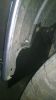 Filename : WP_20160914_008.jpg
Filesize : 159KB
Dimensions : 720x1278
Date added : Sep 14, 2016 WP_20160914_008.jpg