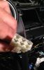 Filename : IMG_0654.jpg
Filesize : 906KB
Dimensions : 2071x3259
Date added : Aug 19, 2014 IMG_0654.jpg