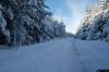 Filename : DSC_0293.jpg
Filesize : 74KB
Dimensions : 640x424
Date added : Feb 08, 2009 DSC_0293.jpg