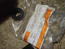 IMG-20250205-WA0099.jpg