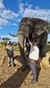 Filename : 20240311_165836%280%29.jpg
Filesize : 1670KB
Dimensions : 1750x3108
Date added : Mar 18, 2024 20240311_165836%280%29.jpg