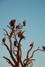 Filename : 383+%28Custom%29.JPG
Filesize : 188KB
Dimensions : 1000x1504
Date added : May 06, 2021 383+%28Custom%29.JPG