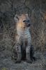 Filename : 400+%28Custom%29.JPG
Filesize : 337KB
Dimensions : 1000x1504
Date added : May 06, 2021 400+%28Custom%29.JPG