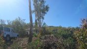 Filename : DSC_0772 (Custom)~0.JPG
Filesize : 516KB
Dimensions : 1750x984
Date added : Oct 02, 2017 DSC_0772 (Custom)~0.JPG