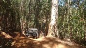 Filename : DSC_0777 (Custom)~0.JPG
Filesize : 825KB
Dimensions : 1750x984
Date added : Oct 02, 2017 DSC_0777 (Custom)~0.JPG