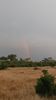 Filename : DSC_3138.JPG
Filesize : 69KB
Dimensions : 534x950
Date added : May 09, 2021 DSC_3138.JPG