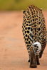 Filename : Jabulani+128.JPG
Filesize : 699KB
Dimensions : 1750x2625
Date added : Mar 18, 2024 Jabulani+128.JPG