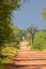 Filename : Jabulani+139.JPG
Filesize : 545KB
Dimensions : 1750x2625
Date added : Mar 18, 2024 Jabulani+139.JPG
