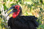 Filename : Jabulani+144.JPG
Filesize : 278KB
Dimensions : 1750x1167
Date added : Mar 18, 2024 Jabulani+144.JPG
