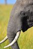 Filename : NAK_1663.JPG
Filesize : 1088KB
Dimensions : 1750x2625
Date added : May 31, 2022 NAK_1663.JPG