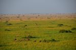 Filename : NAK_1784.JPG
Filesize : 408KB
Dimensions : 1750x1167
Date added : May 31, 2022 NAK_1784.JPG