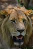 Filename : NAK_2151.JPG
Filesize : 946KB
Dimensions : 1750x2625
Date added : May 31, 2022 NAK_2151.JPG