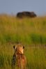Filename : NAK_2209.JPG
Filesize : 764KB
Dimensions : 1750x2625
Date added : May 31, 2022 NAK_2209.JPG