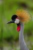 Filename : NAK_2308.JPG
Filesize : 780KB
Dimensions : 1750x2625
Date added : May 31, 2022 NAK_2308.JPG