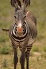 Filename : NAK_2423.JPG
Filesize : 749KB
Dimensions : 1750x2625
Date added : May 31, 2022 NAK_2423.JPG