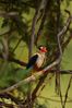 Filename : NAK_2475.JPG
Filesize : 805KB
Dimensions : 1750x2625
Date added : May 31, 2022 NAK_2475.JPG