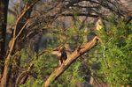 Filename : NAK_2487.JPG
Filesize : 782KB
Dimensions : 1750x1167
Date added : May 31, 2022 NAK_2487.JPG